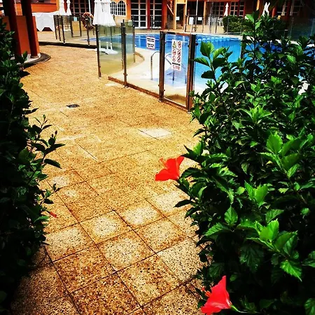 Canoa Palm Oasis 4 *