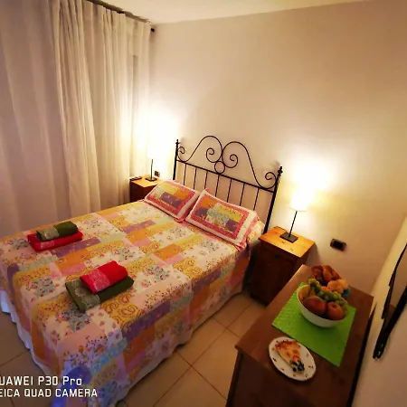 Canoa Palm Oasis 4