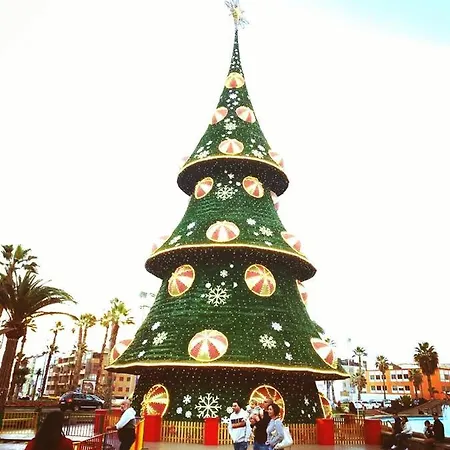 Canoa Palm Oasis 4 Maspalomas (Gran Canaria)
