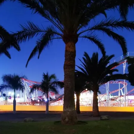 Canoa Palm Oasis 4